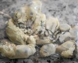 牡蠣とニラの塩麹焼きそば作り方2写真