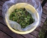 南信州発☆源助株菜のお葉漬け作り方3写真