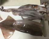 スペイン風イカ飯のトマト煮込み作り方1写真
