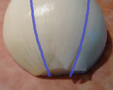 簡単　玉ねぎをスライスする裏ワザ作り方1写真