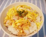 我が家の簡単♪うなしご飯♪鰻なしです作り方2写真
