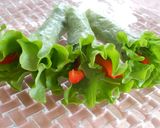 ベジフラワーサラダ　残ってる野菜活用作り方4写真
