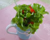 ベジフラワーサラダ　残ってる野菜活用作り方5写真