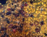 茹で上げうどんにフワッと香る麻辣油作り方7写真