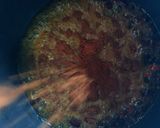 茹で上げうどんにフワッと香る麻辣油作り方5写真