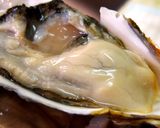 曽根干潟の一粒牡蠣で絶品牡蠣ご飯作り方2写真