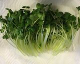 忙しい朝にスピード弁当おかず♡作り方1写真