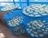 かんたん干し芋♡離乳食完了期のおやつにも作り方9写真