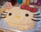 キャラクターケーキの作り方(ミフィー)作り方9写真