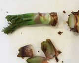 たらの芽の天ぷら作り方3写真