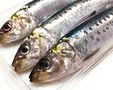 いわしの豆鼓煮作り方1写真