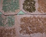 あられ☆青のり味作り方18写真