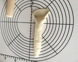 プレーンベーグル作り方10写真