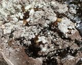 30分で激旨チョコナッツクッキー♡増量版作り方1写真