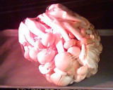 ちくわとしめじの和え物作り方1写真