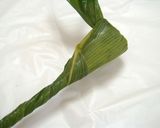 昔から伝わる*ちまき・巻き方いろいろ作り方17写真