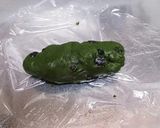 抹茶の大納言クッキー作り方6写真