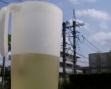おひさま頼みのSUN♪TEA作り方1写真