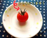 お弁当に♪葉っぱ付きミニトマトりんご作り方2写真