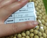 玄米麹で手作り味噌(コク旨・辛口)作り方2写真
