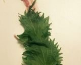 豚バラヘルシー巻き作り方5写真