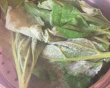 食物繊維&ルチン豊富 若ごぼう葉の焙じ茶作り方2写真