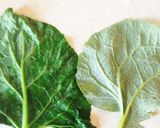 食物繊維&ルチン豊富 若ごぼう葉の焙じ茶作り方3写真