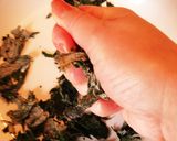 食物繊維&ルチン豊富 若ごぼう葉の焙じ茶作り方8写真