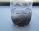 簡単☆レーズン酵母ができました作り方1写真