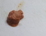 メイタカレイの造り作り方5写真