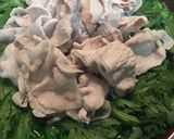 豚肉柔らか常夜鍋 シンプル簡単♪作り方8写真