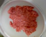 スコッチ☆ＥＧＧ作り方3写真