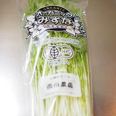 水菜 水上涼菜 | 初めてのグラビアが掲載されます FAVE Vol.2 絶賛予約販売