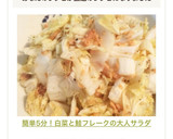 簡単5分！白菜と鮭フレークの大人サラダ作り方4写真