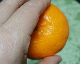 既にバラけているポンカン。作り方2写真
