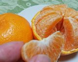 既にバラけているポンカン。作り方4写真