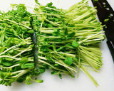 豆苗炒め　簡単作り方2写真