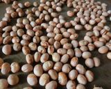 お豆大好き♡オーブンで♡手作り煎り大豆作り方6写真