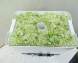 ねぎパウダーの作り方作り方1写真