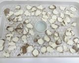 食品乾燥機で山芋（自然薯）の乾燥作り方4写真