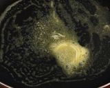 鶏肉とネギの炒め物〜！作り方2写真