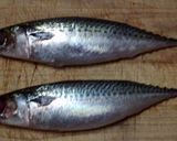 寿司屋直伝〆サバ作り方1写真