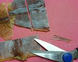 福島の郷土料理☆いかにんじん☆作り方1写真