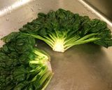 小松菜と卵のポン酢炒め作り方11写真