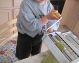 子供のごはん　ママ安心の青汁麺作り方8写真