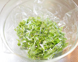 水菜の3段活用　②　刻み水菜の塩昆布あえ作り方6写真