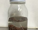 【自家製酵母】レーズンの酵母液作り方1写真