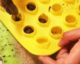 家族が作る☆豚ちゃんトリュフ作り方5写真