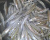 サクサク！　ワカサギの煮干　作り方1写真