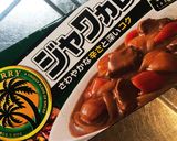 甘辛♪いつもとちょっと違うカレー♪作り方9写真